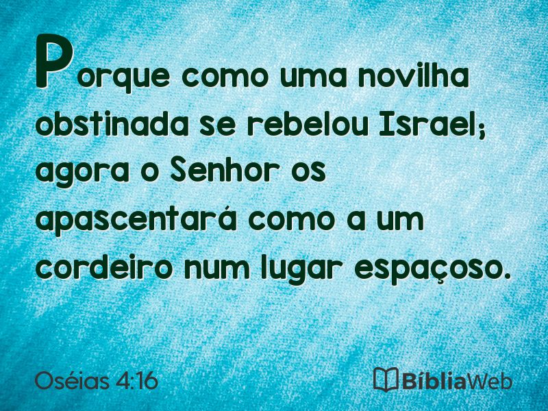 Oséias 4:16 em imagem para compartilhar