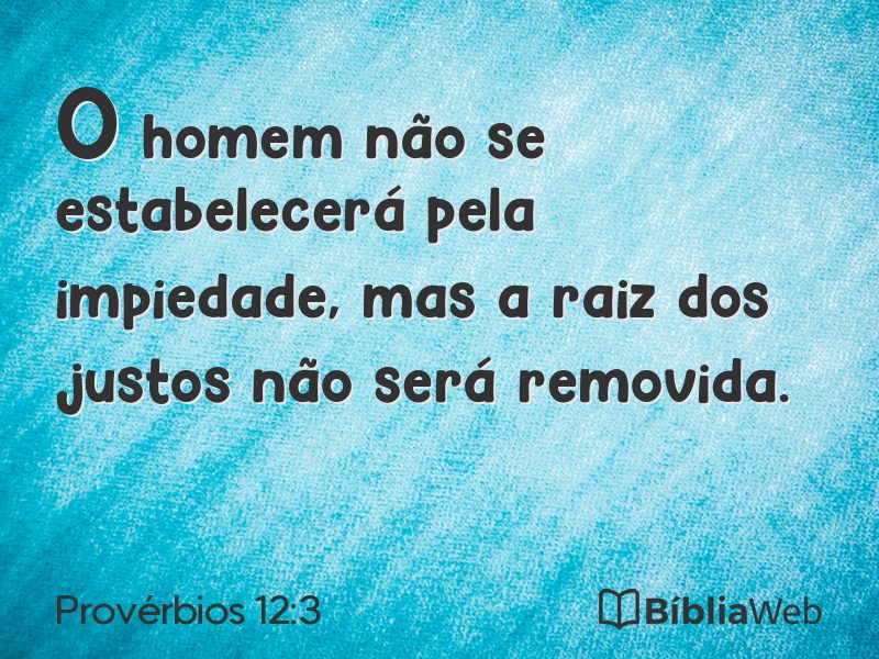 Provérbios 12:3 em imagem para compartilhar