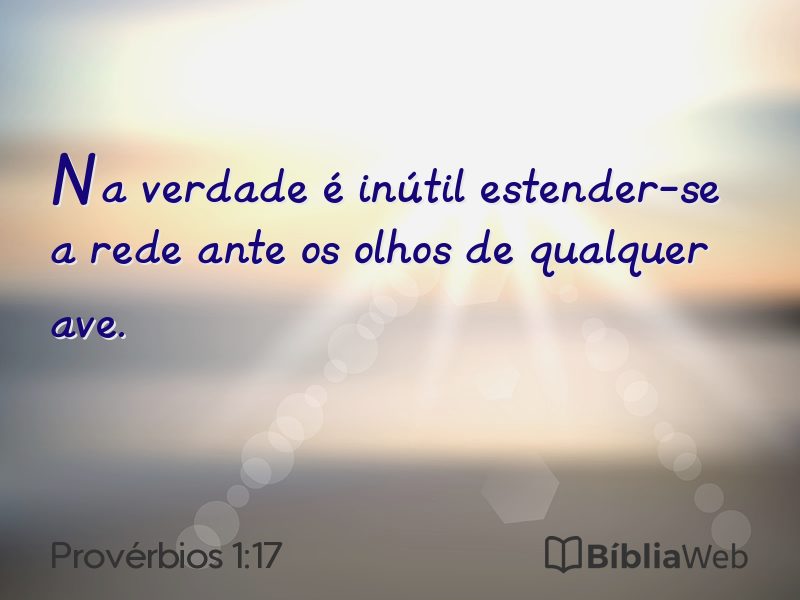 Provérbios 1:17 em imagem para compartilhar