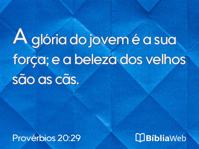 Provérbios 20:29 em imagem para compartilhar