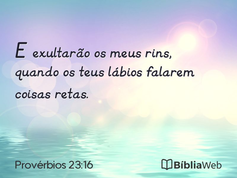 Provérbios 23:16 em imagem para compartilhar