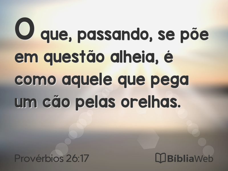 Provérbios 26:17 em imagem para compartilhar