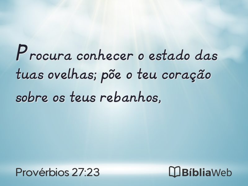 Provérbios 27:23 em imagem para compartilhar