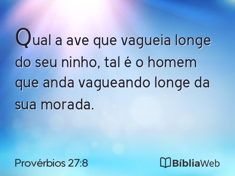 Provérbios 27:8 em imagem para compartilhar