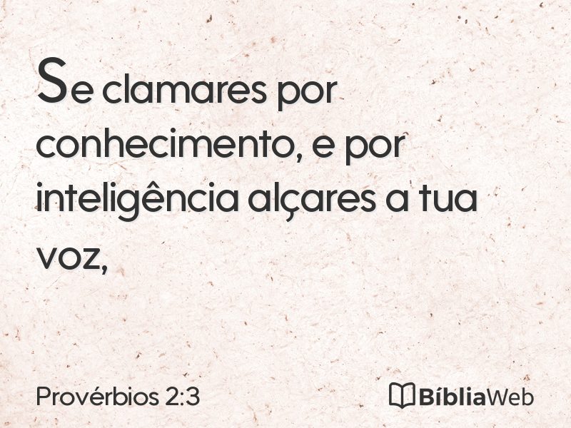 Provérbios 2:3 em imagem para compartilhar