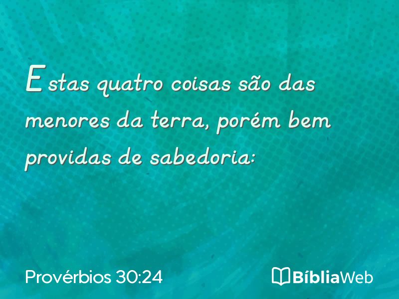 Provérbios 30:24 em imagem para compartilhar