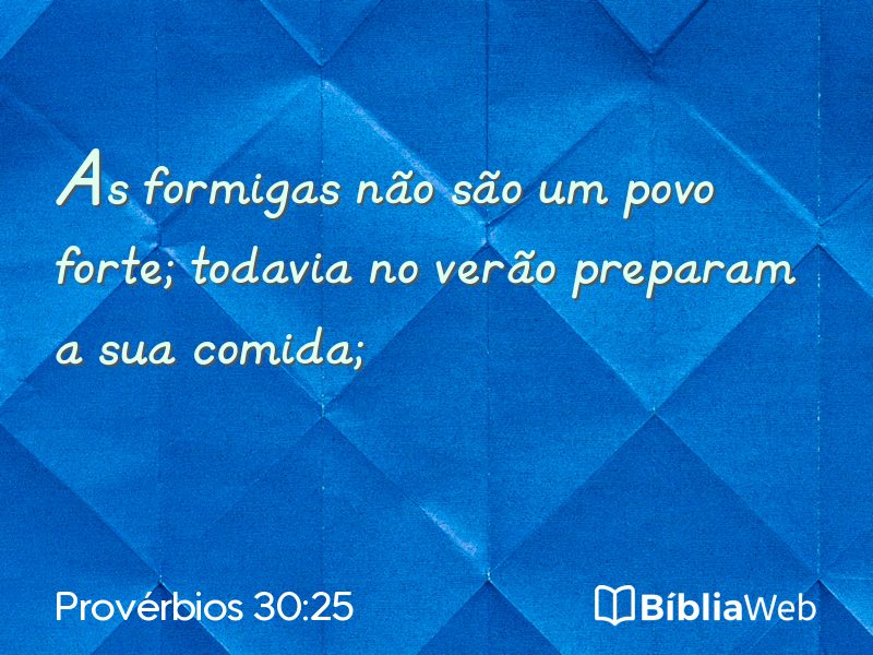 Provérbios 30:25 em imagem para compartilhar