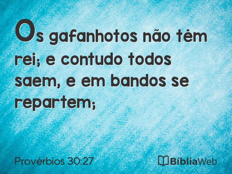 Provérbios 30:27 em imagem para compartilhar