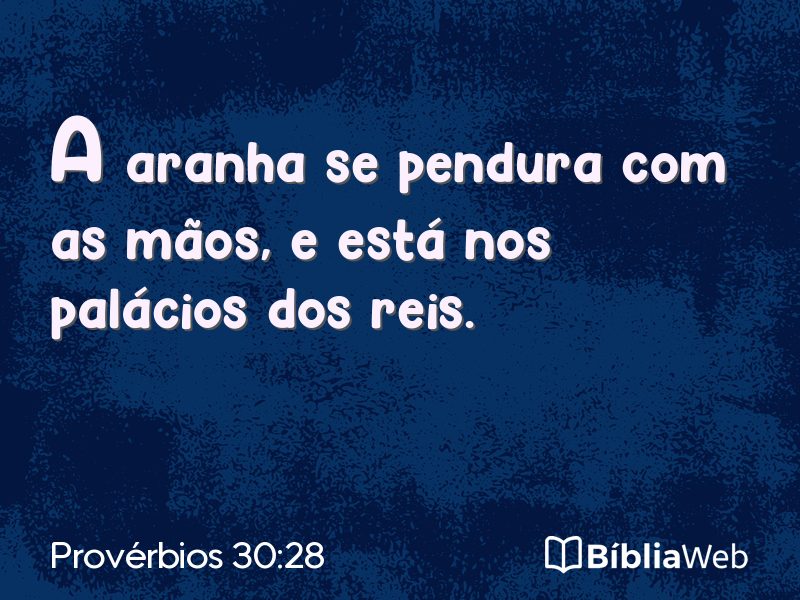 Provérbios 30:28 em imagem para compartilhar