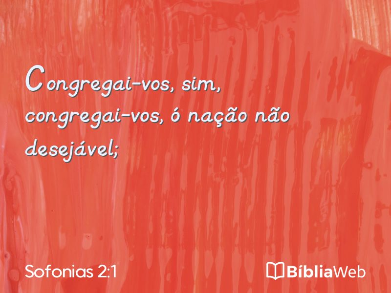 Sofonias 2:1 em imagem para compartilhar