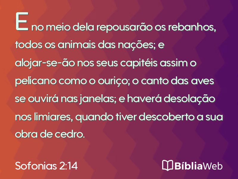 Sofonias 2:14 em imagem para compartilhar