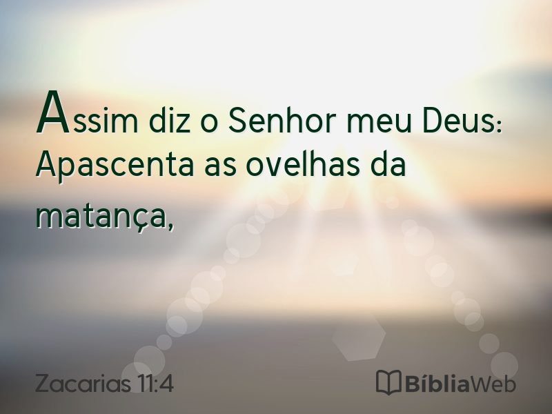 Zacarias 11:4 em imagem para compartilhar
