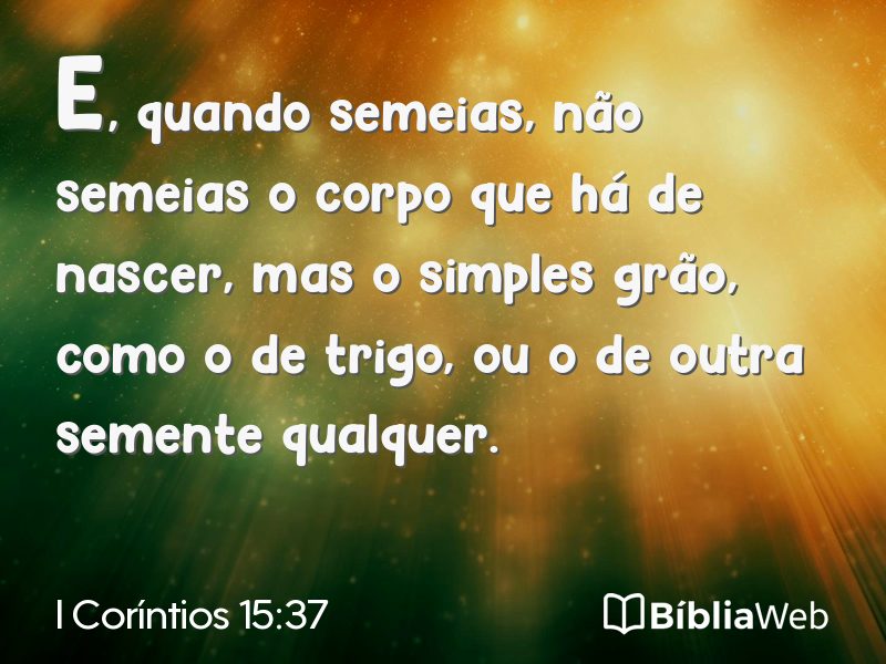 I Coríntios 15:37 em imagem para compartilhar