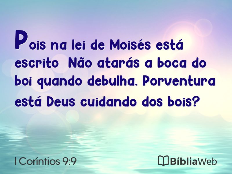 I Coríntios 9:9 em imagem para compartilhar