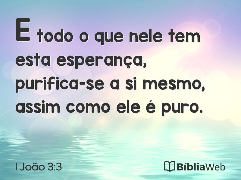 I João 3:3 em imagem para compartilhar