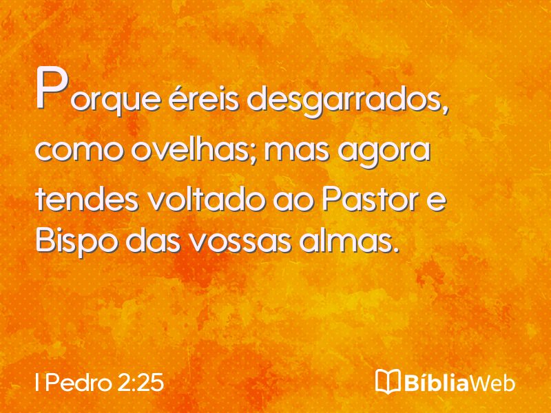 I Pedro 2:25 em imagem para compartilhar