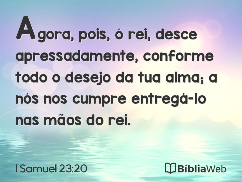 I Samuel 23:20 em imagem para compartilhar