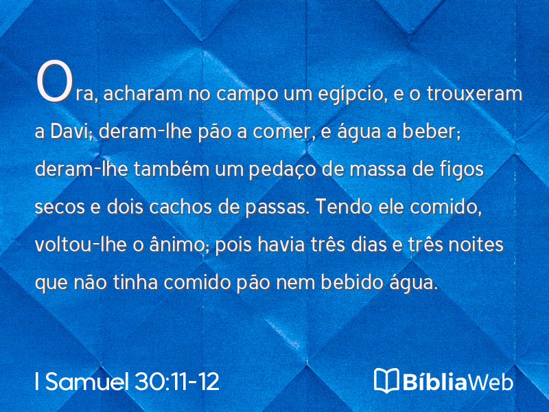 I Samuel 30:11-12 em imagem para compartilhar