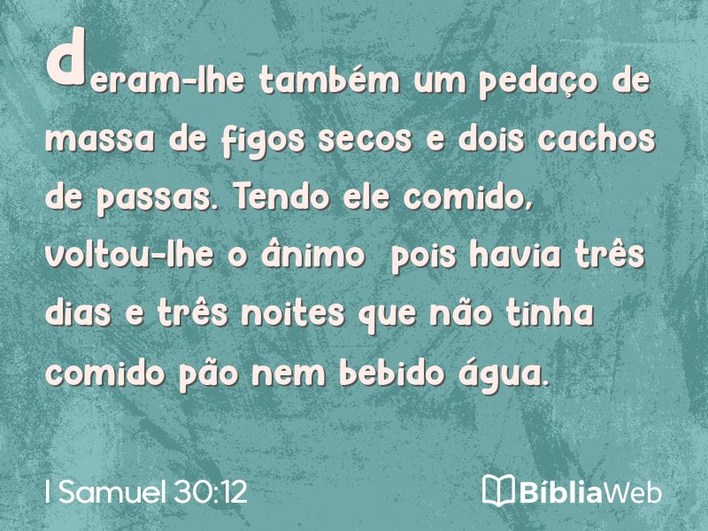 I Samuel 30:12 em imagem para compartilhar