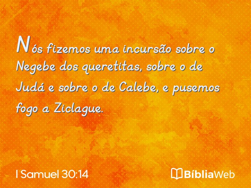 I Samuel 30:14 em imagem para compartilhar