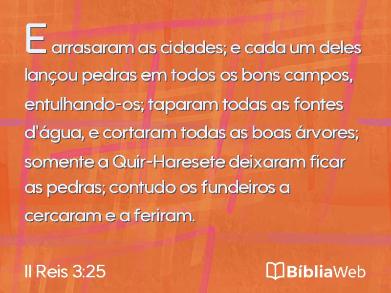 II Reis 3:25 em imagem para compartilhar
