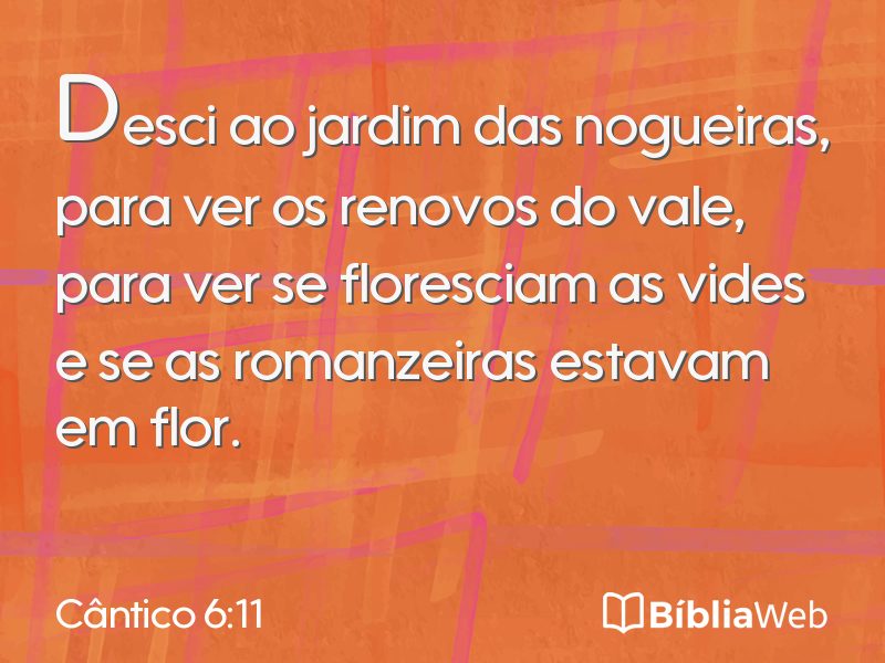 Cântico 6:11 em imagem para compartilhar