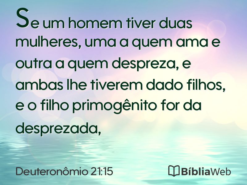 Deuteronômio 21:15 em imagem para compartilhar