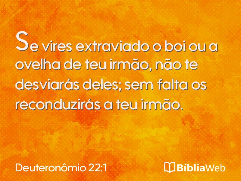 Deuteronômio 22:1 em imagem para compartilhar