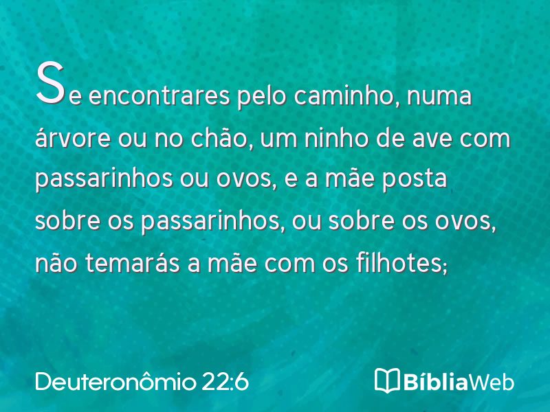 Deuteronômio 22:6 em imagem para compartilhar