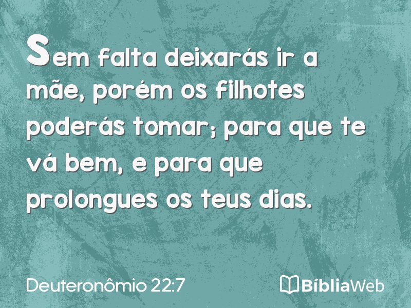 Deuteronômio 22:7 em imagem para compartilhar