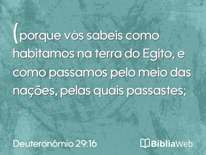 Deuteronômio 29:16 em imagem para compartilhar