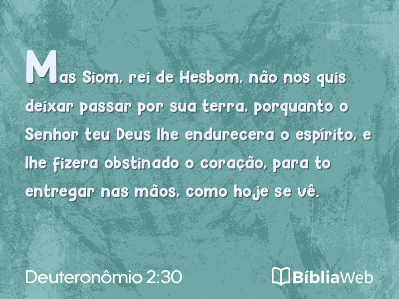 Deuteronômio 2:30 em imagem para compartilhar