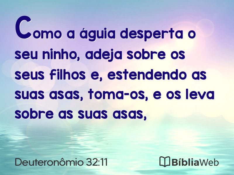 Deuteronômio 32:11 em imagem para compartilhar
