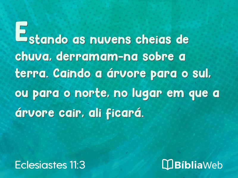 Eclesiastes 11:3 em imagem para compartilhar