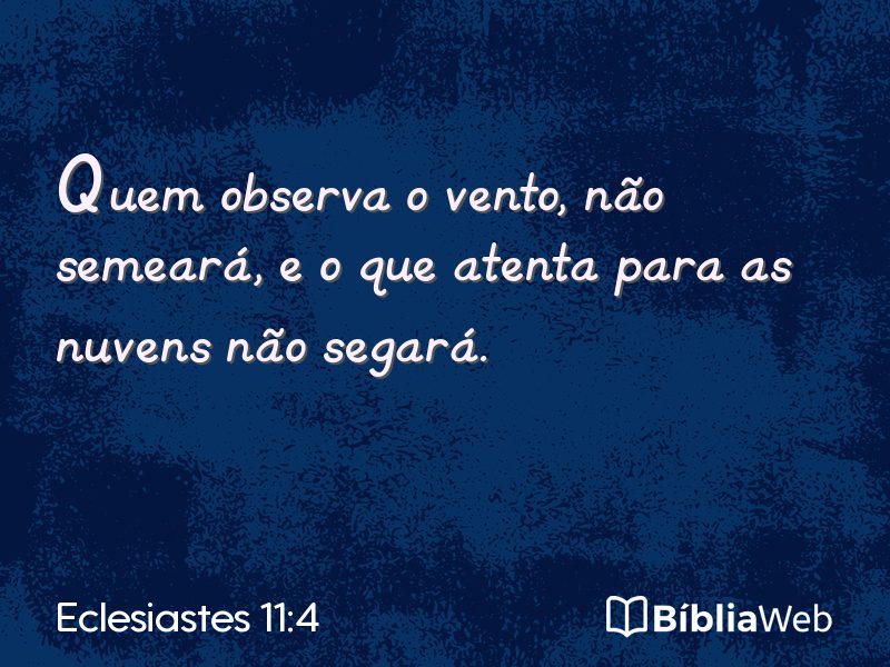 Eclesiastes 11:4 em imagem para compartilhar