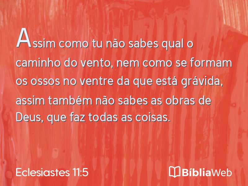 Eclesiastes 11:5 em imagem para compartilhar