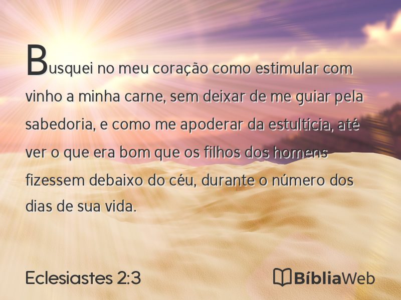 Eclesiastes 2:3 em imagem para compartilhar