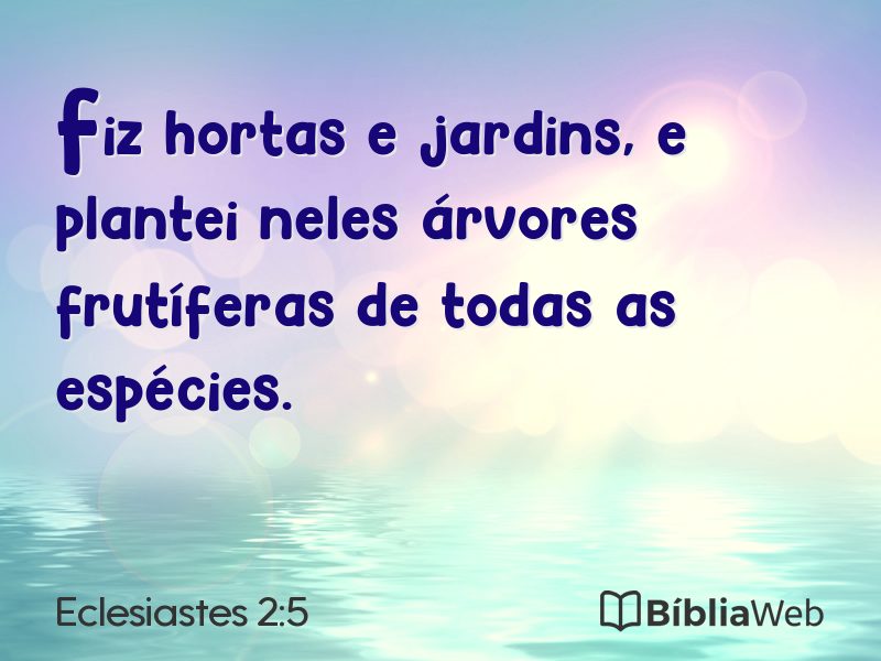 Eclesiastes 2:5 em imagem para compartilhar