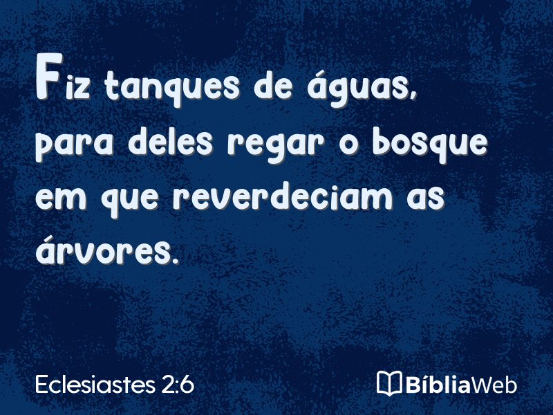 Eclesiastes 2:6 em imagem para compartilhar