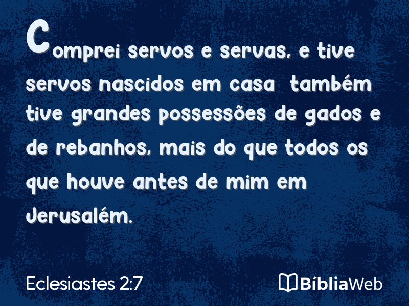 Eclesiastes 2:7 em imagem para compartilhar