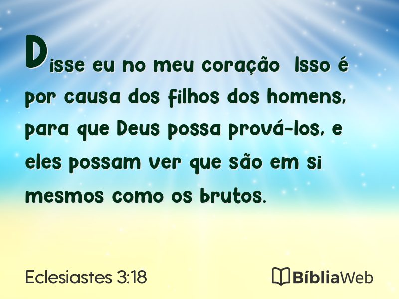 Eclesiastes 3:18 em imagem para compartilhar