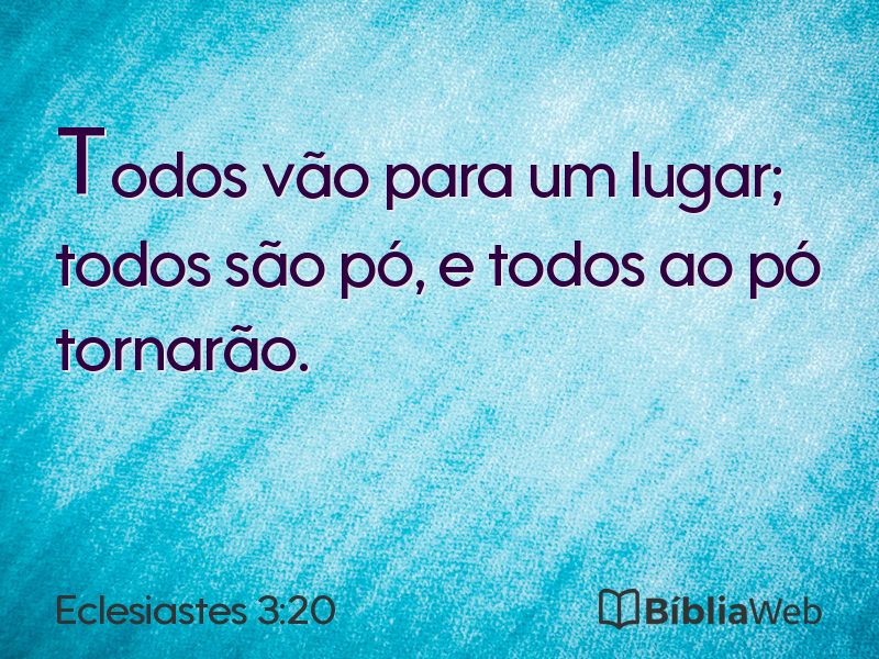 Eclesiastes 3:20 em imagem para compartilhar