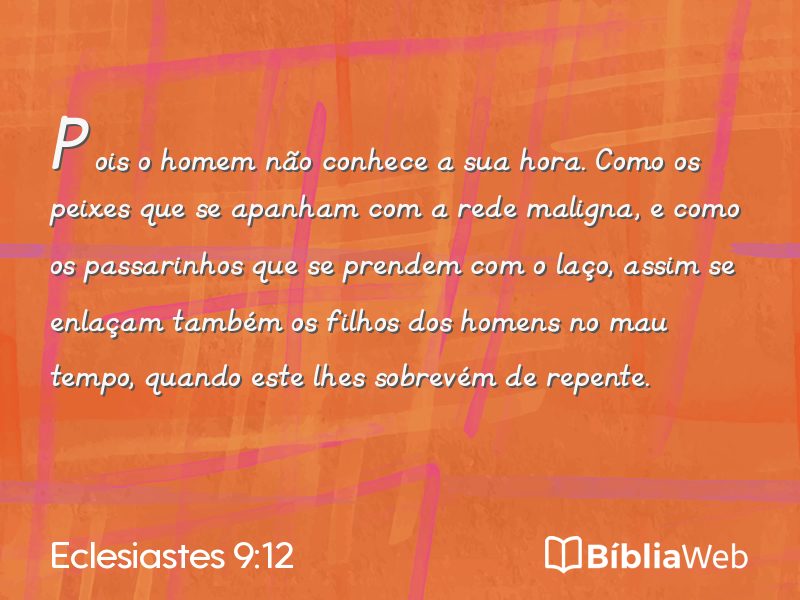 Eclesiastes 9:12 em imagem para compartilhar