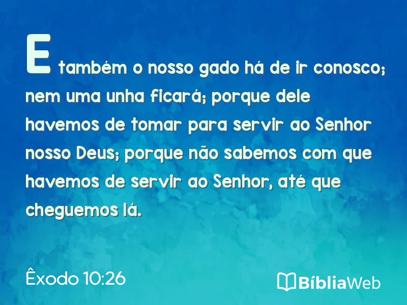 Êxodo 10:26 em imagem para compartilhar
