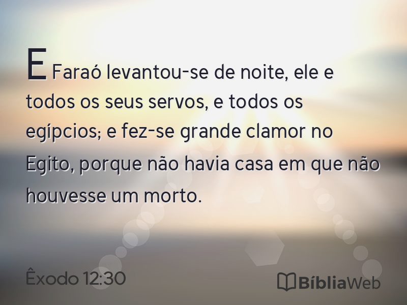 Êxodo 12:30 em imagem para compartilhar