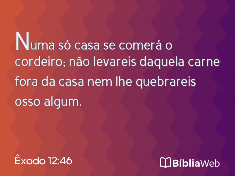 Êxodo 12:46 em imagem para compartilhar