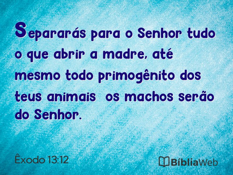 Êxodo 13:12 em imagem para compartilhar