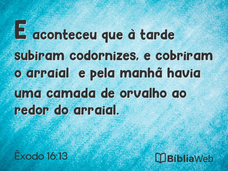 Êxodo 16:13 em imagem para compartilhar