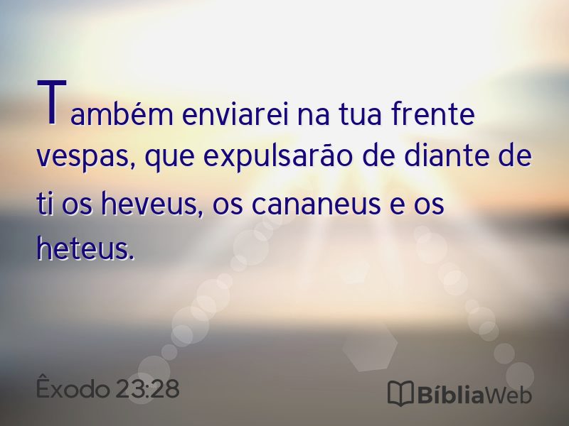 Êxodo 23:28 em imagem para compartilhar