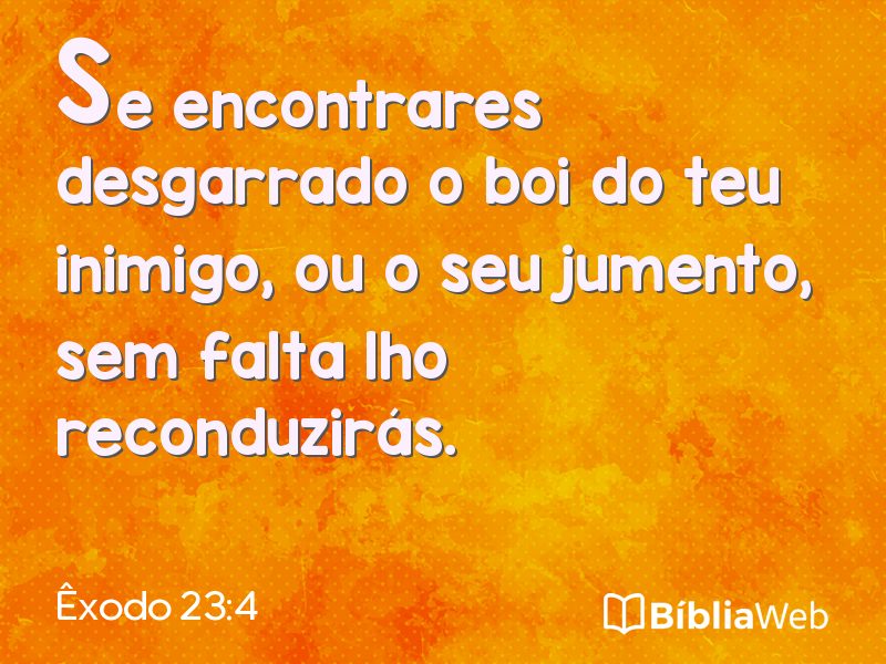 Êxodo 23:4 em imagem para compartilhar
